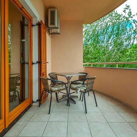 Moreri Garden Novigrad Istria エクステリア 写真